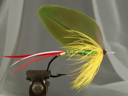 Green and Gold Fly by Lee Schechter